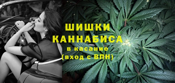 стаф Дмитровск