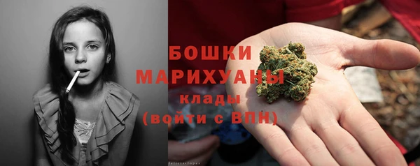 стаф Дмитровск