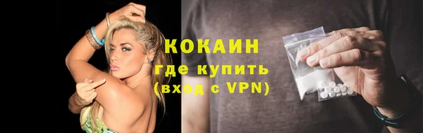 стаф Дмитровск