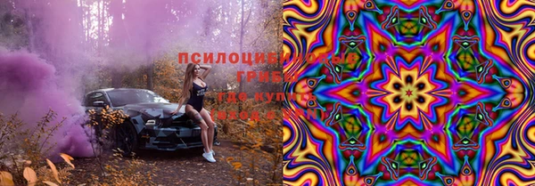 стаф Дмитровск