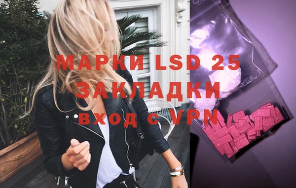 стаф Дмитровск