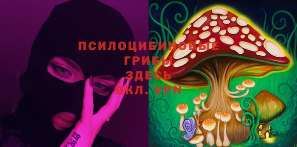 экстази Дмитриев