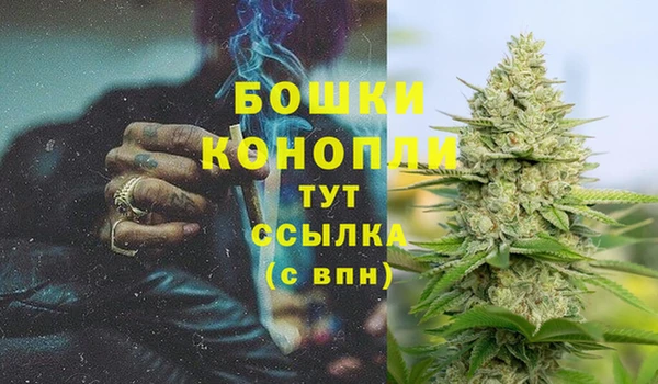 стаф Дмитровск