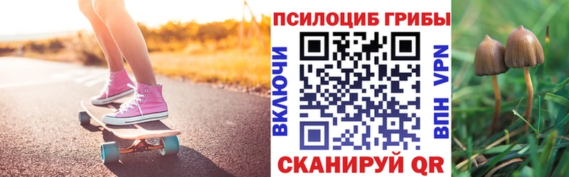 Купить  Куса  Псилоцибиновые грибы мухоморы 